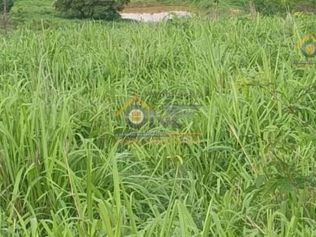 Sítio e chácara venda em Região Geográfica Imediata de Salinas, Salinas