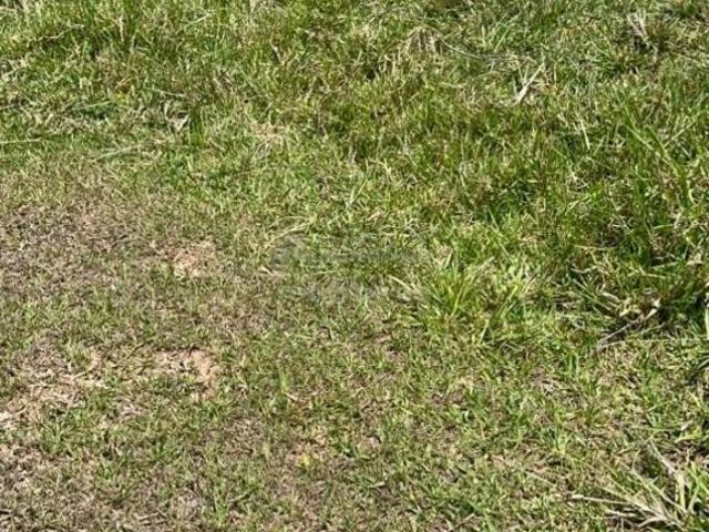 Sítio e chácara venda em Região Imediata de Santa Fé do Sul, Santa Fé do Sul
