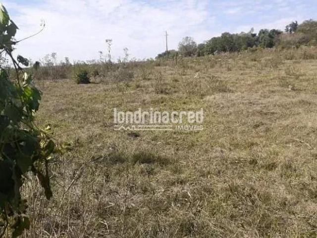 Sítio e chácara venda em Região Geográfica Imediata de Toledo, Santa Helena