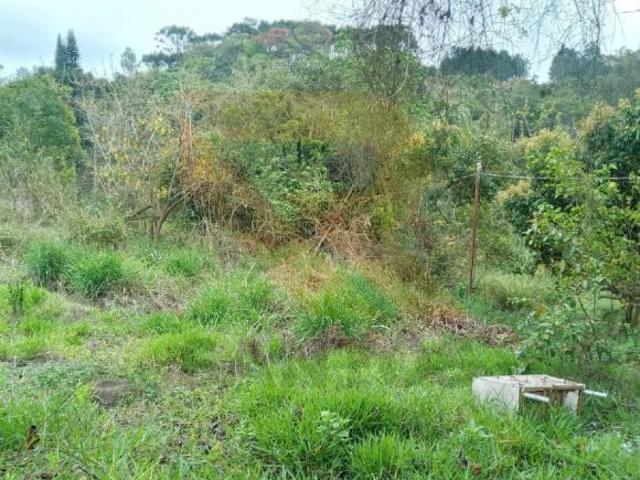 Sítio e chácara venda em Região Imediata de São Paulo, Região Metropolitana de São Paulo