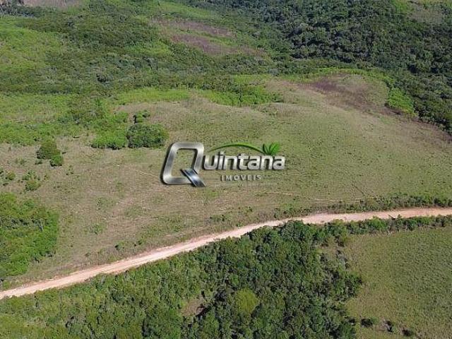 Sítio e chácara venda em Santana da Boa Vista