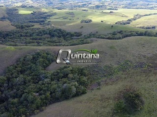 Sítio e chácara venda em Região Geográfica Imediata de São Gabriel - Caçapava do Sul, Santana da Boa Vista