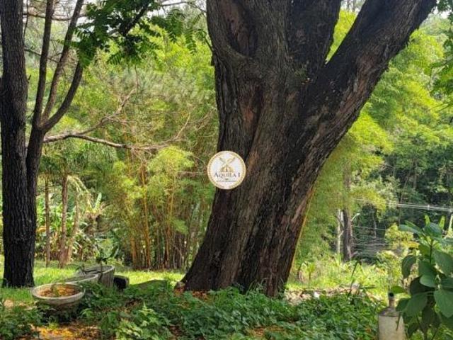 Sítio e chácara venda em Região Imediata de São Paulo, Região Metropolitana de São Paulo
