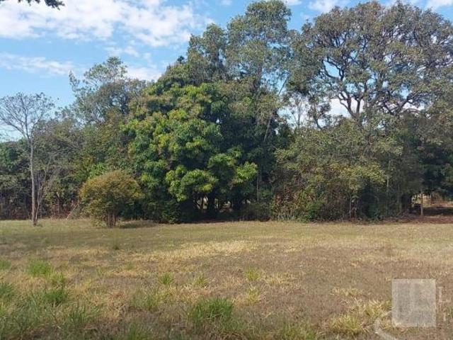 Sítio e chácara venda em Santo Antônio da Alegria