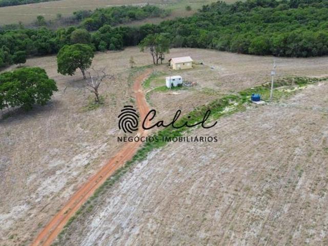 Sítio e chácara venda em Santo Antônio da Alegria