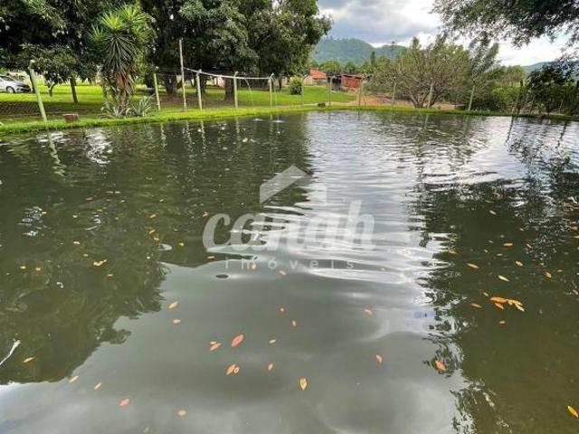 Sítio e chácara venda em Região Imediata de Ribeirão Preto, Região Metropolitana de Ribeirão Preto