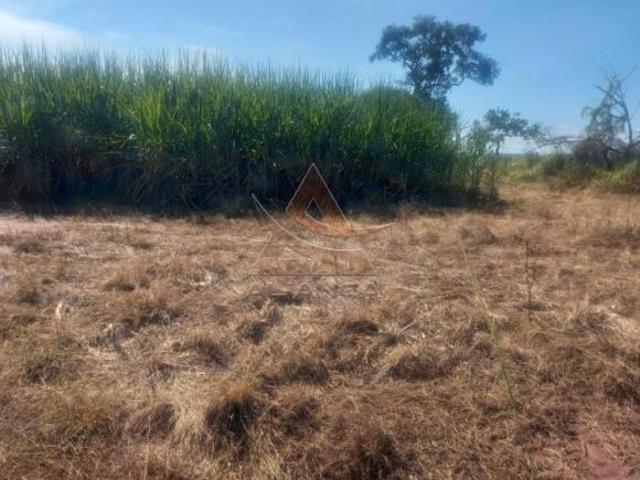 Sítio e chácara venda em Região Imediata de Ribeirão Preto, Região Metropolitana de Ribeirão Preto