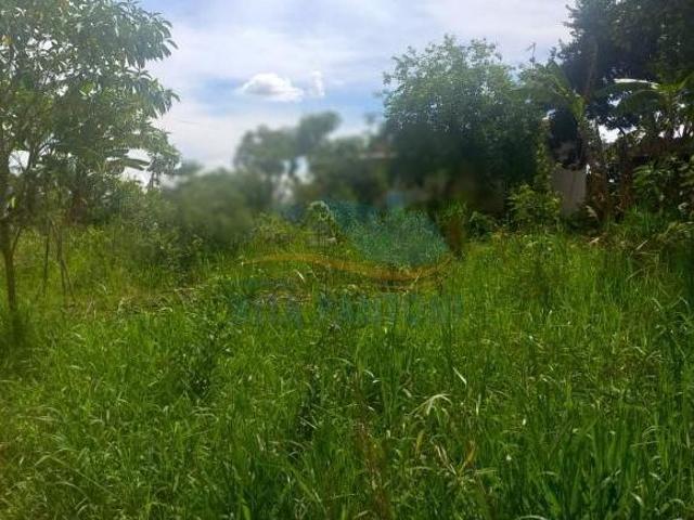 Sítio e chácara venda em Santo Antônio da Alegria