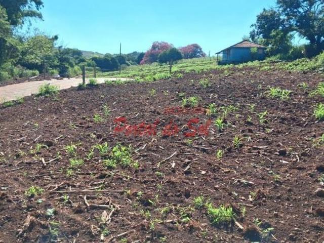Sítio e chácara venda em Região Geográfica Imediata de Santo Antônio da Platina, Santo Antônio da Platina