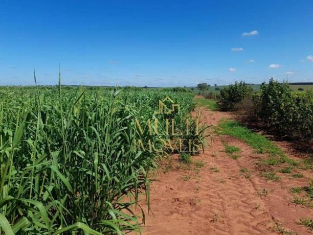 Sítio e chácara venda em Região Imediata de Araçatuba, Santo Antônio do Aracanguá