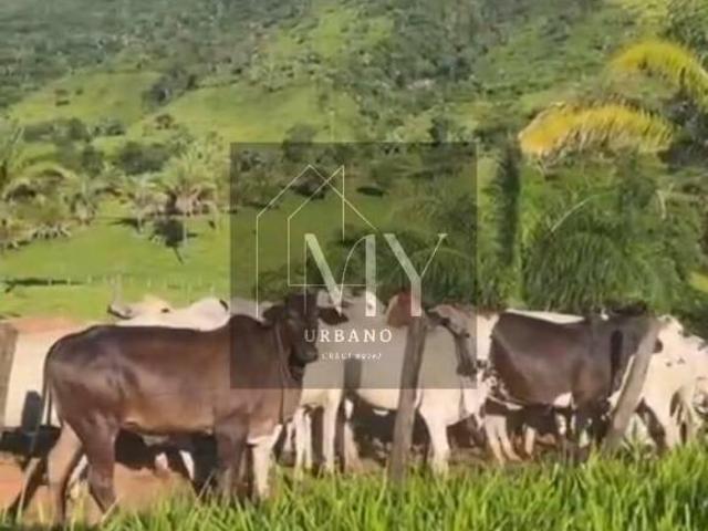 Sítio e chácara venda em Santo Antônio do Leste, Região Geográfica Intermediária de Rondonópolis