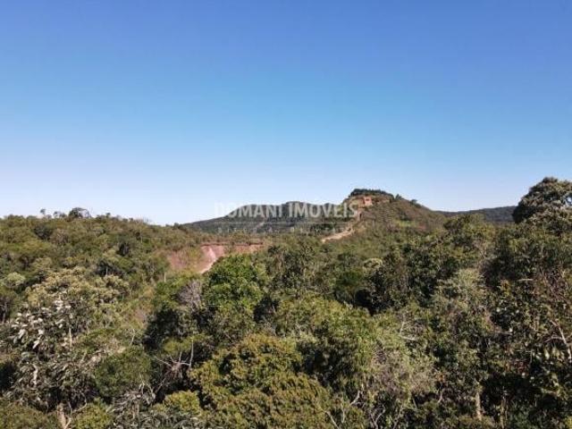 Sítio e chácara venda em Santo Antônio do Pinhal