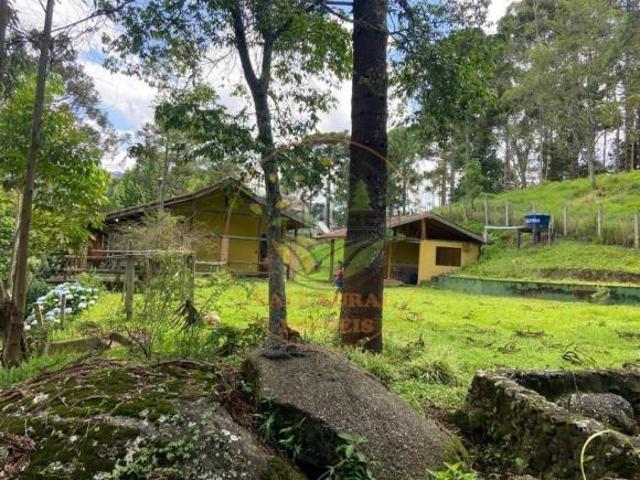 Sítio e chácara venda em Sapucaí-Mirim