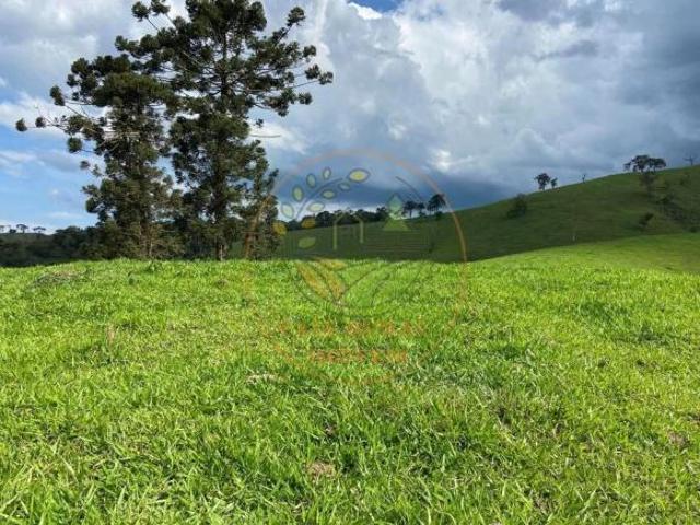 Sítio e chácara venda em Região Geográfica Imediata de Itajubá, Sapucaí-Mirim