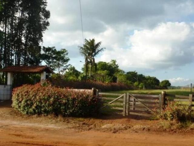 Sítio e chácara venda em Região Imediata de Piraju, Sarutaia