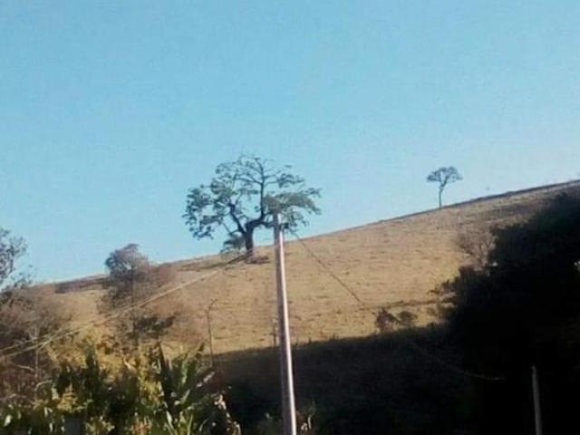 Sítio e chácara venda em Jardim Luciola, Serra Negra