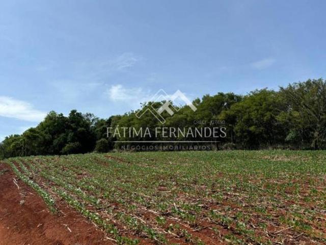 Sítio e chácara venda em Região Geográfica Imediata de Londrina, Sertanópolis
