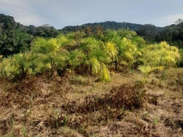 Sítio e chácara venda em Região Imediata de Registro, Sete Barras