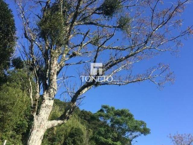 Sítio e chácara venda em Região Geográfica Imediata de Santa Maria, Silveira Martins