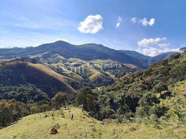 Sítio e chácara venda em Silveiras