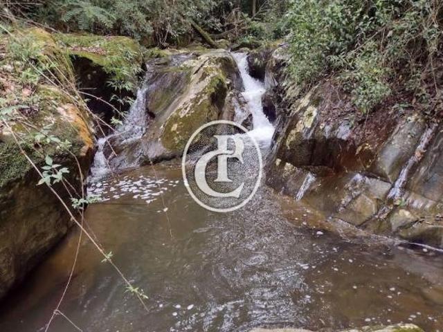 Sítio e chácara venda em Região Imediata de Guaratinguetá, Região Metropolitana do Vale do Paraíba e Litoral Norte