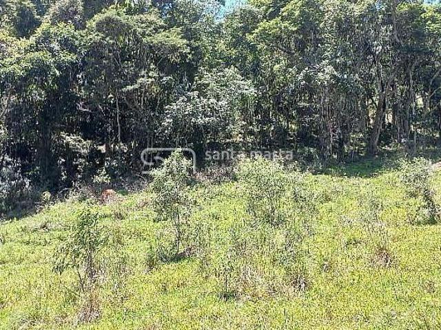 Sítio e chácara venda em Região Imediata de Cruzeiro, Região Metropolitana do Vale do Paraíba e Litoral Norte