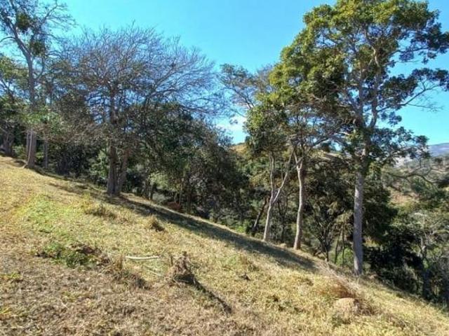 Sítio e chácara venda em Silveiras
