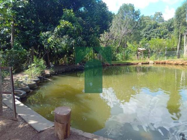 Sítio e chácara venda em Jardim Silvana, Santo André