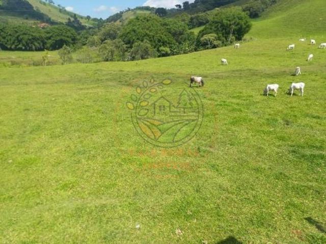 Sítio e chácara venda em Região Geográfica Imediata de São Lourenço, Soledade de Minas