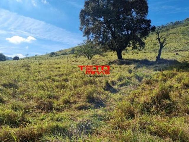 Sítio e chácara venda em Região Geográfica Imediata de São Lourenço, Soledade de Minas