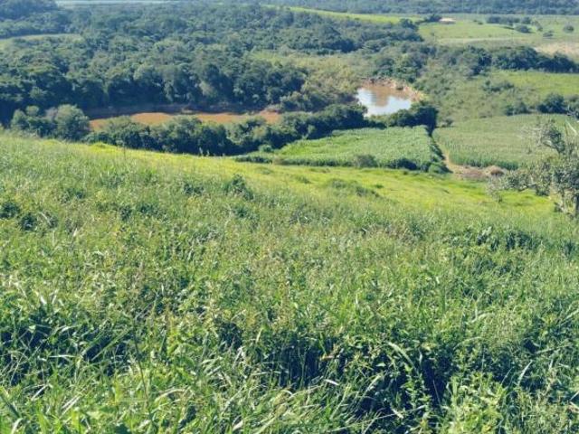 Sítio e chácara venda em Região Geográfica Imediata de São Lourenço, Soledade de Minas