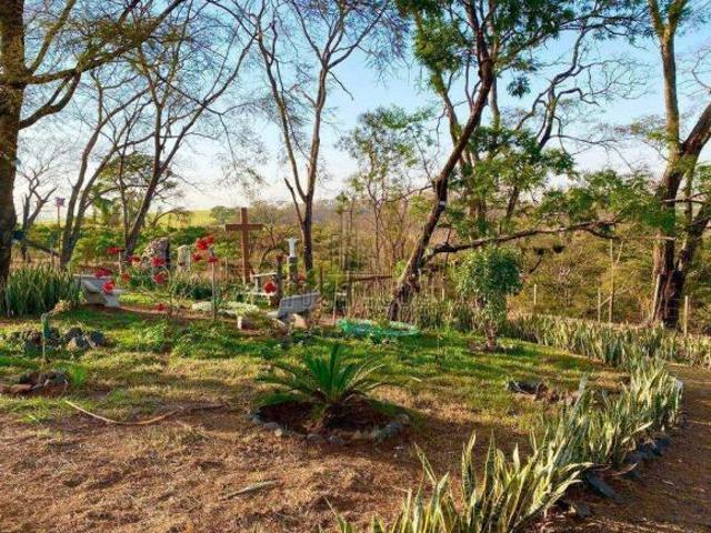 Sítio e chácara venda em Região Imediata de Barretos, Região Metropolitana de Ribeirão Preto