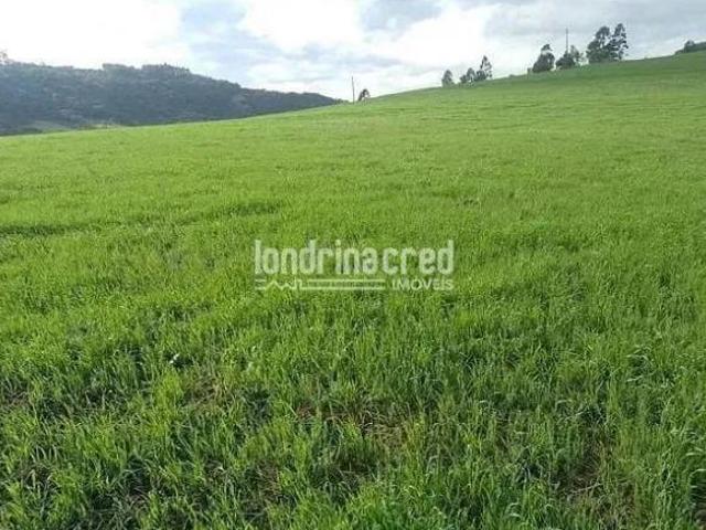 Sítio e chácara venda em Região Geográfica Imediata de Londrina, Tamarana