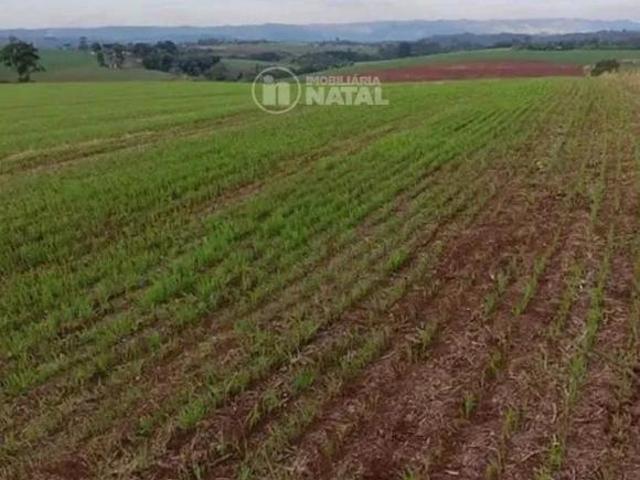 Sítio e chácara venda em Região Geográfica Imediata de Londrina, Tamarana