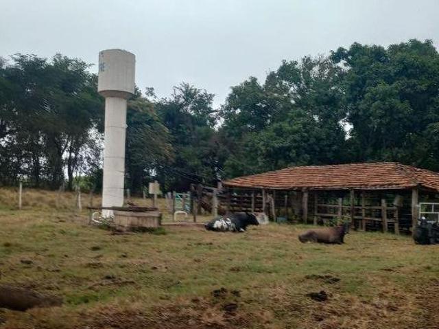 Sítio e chácara venda em Região Imediata de São José do Rio Preto, Região Metropolitana de São José do Rio Preto
