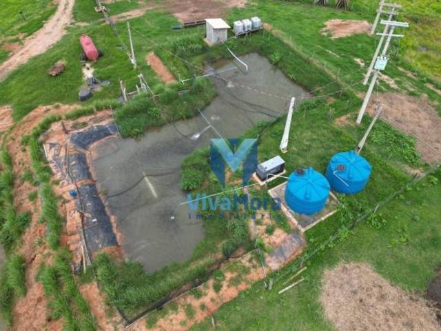 Sítio e chácara venda em Região Imediata de São José do Rio Preto, Região Metropolitana de São José do Rio Preto