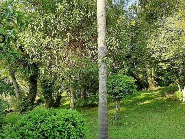 Sítio e chácara venda em Região Imediata de São Paulo, Região Metropolitana de São Paulo