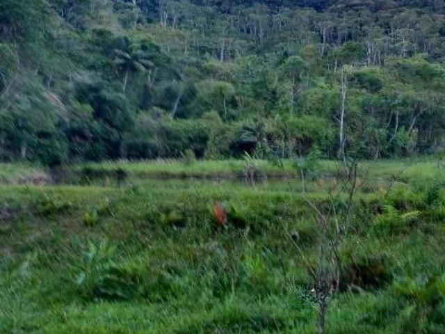Sítio e chácara venda em Região Imediata de Sorocaba, Região Metropolitana de Sorocaba