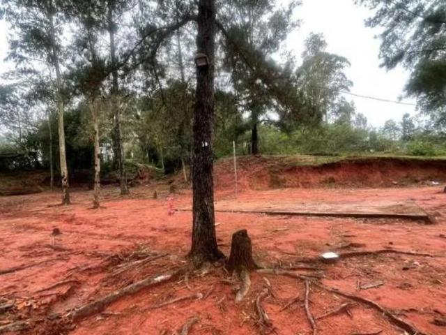 Sítio e chácara venda em Região Geográfica Imediata de Taquara - Parobé - Igrejinha, Região Metropolitana de Porto Alegre