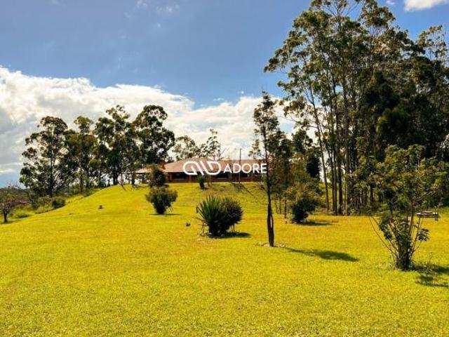 Sítio e chácara venda em Região Imediata de Barretos, Região Metropolitana de Ribeirão Preto