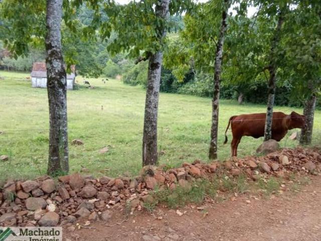 Sítio e chácara venda em Tenente Portela, Região Sul