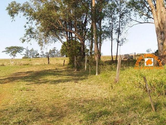 Sítio e chácara venda em Região Geográfica Imediata de Toledo, Terra Roxa