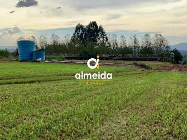 Sítio e chácara venda em Região Geográfica Imediata de Lajeado, Teutônia