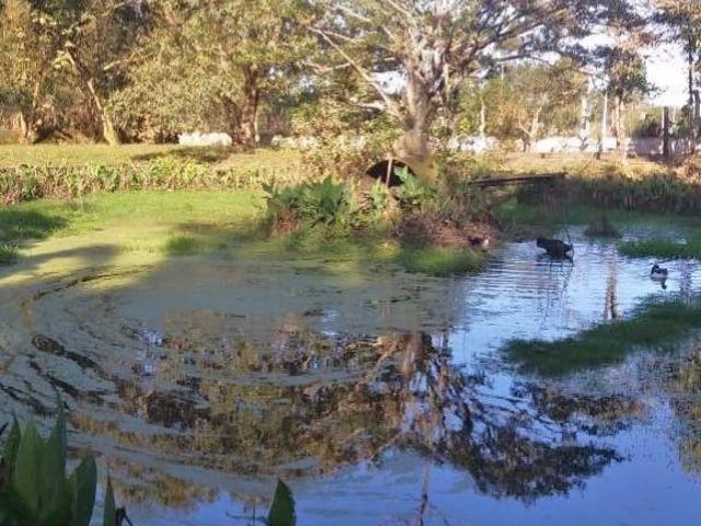 Sítio e chácara venda em Torres