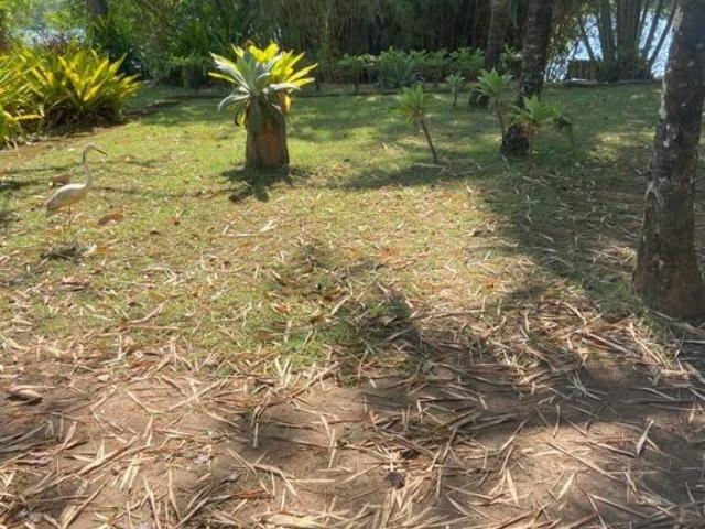 Sítio e chácara venda em Região Geográfica Imediata de Curvelo, Três Marias