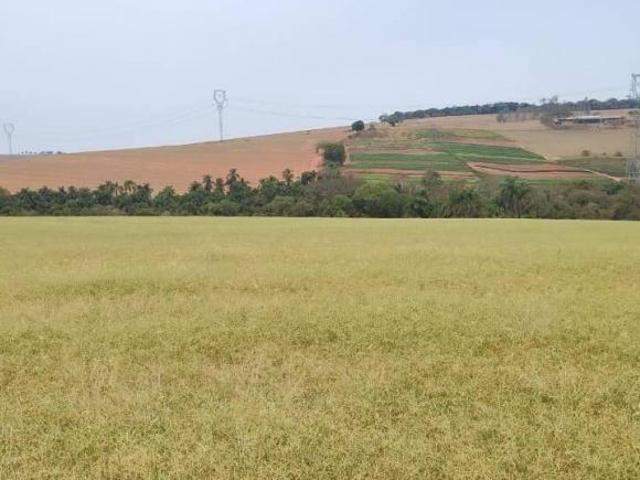 Sítio e chácara venda em Tuiuti