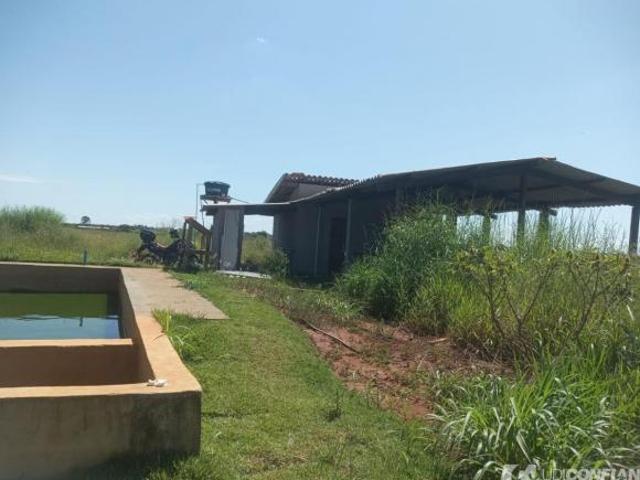 Sítio e chácara venda em Região Geográfica Imediata de Uberlândia, Oliveira Fortes