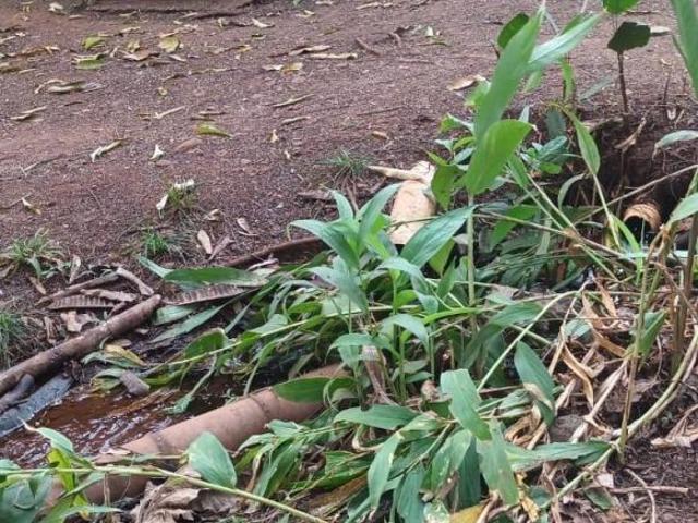 Sítio e chácara venda em Região Geográfica Imediata de Uberlândia, Oliveira Fortes