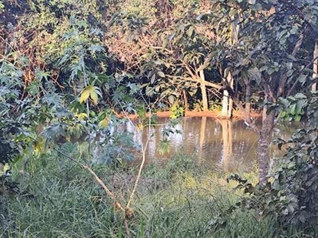 Sítio e chácara venda em Região Geográfica Imediata de Uberlândia, Oliveira Fortes