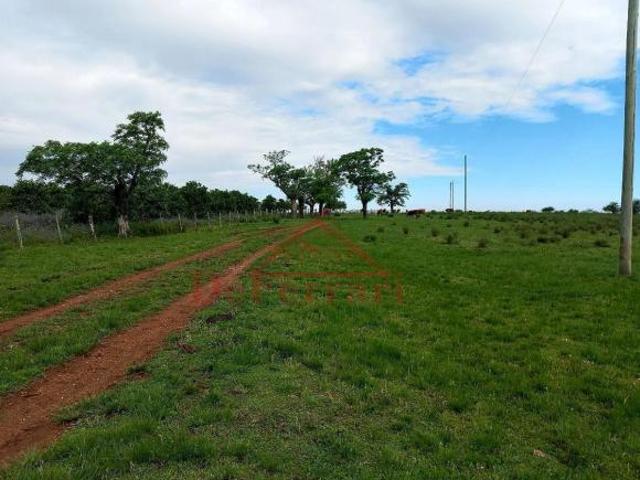 Sítio e chácara venda em Região Geográfica Imediata de Uruguaiana, Uruguaiana